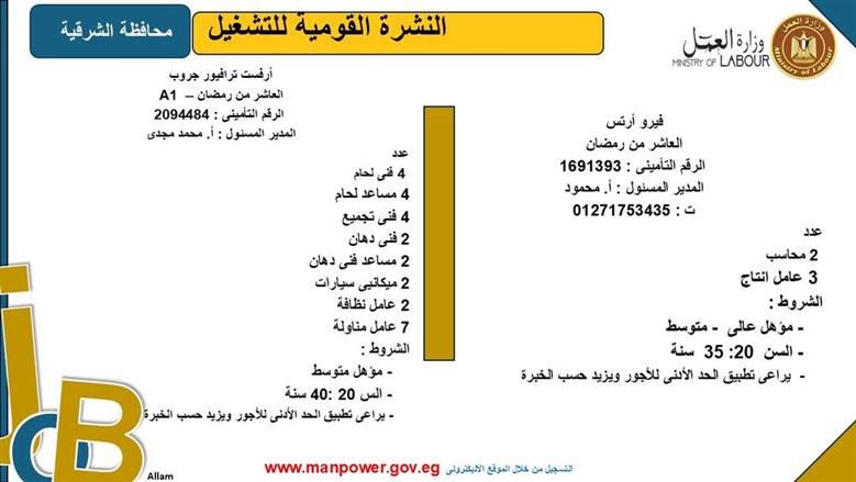 فرص عمل بمحافظة الشرقية