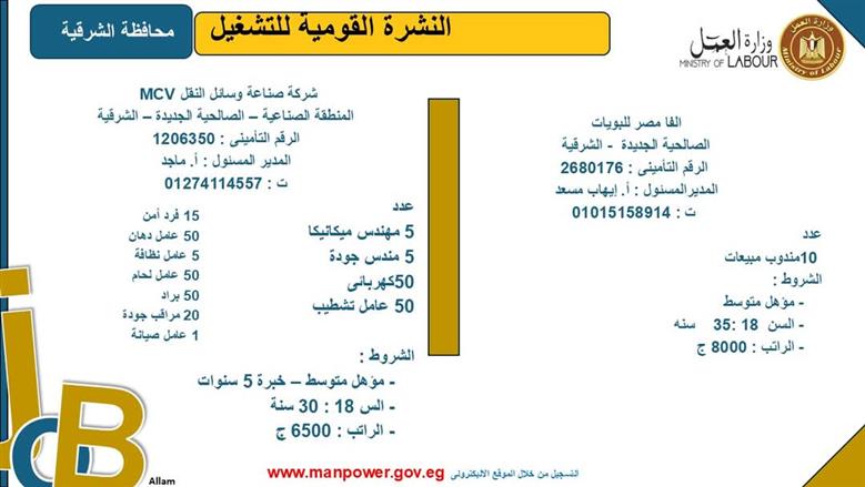 فرص عمل بمحافظة الشرقية