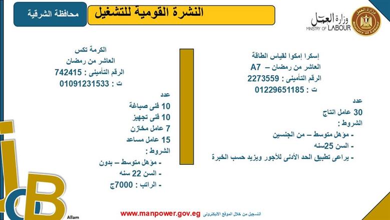 فرص عمل بمحافظة الشرقية