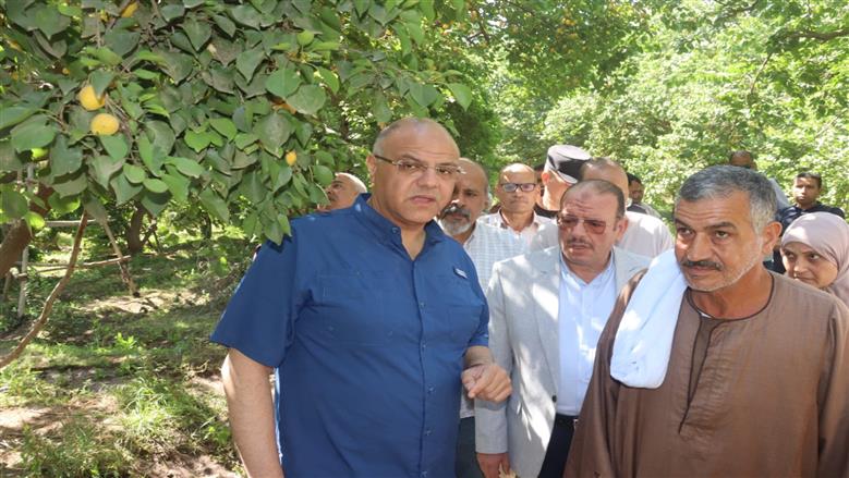 جولة محافظ القليوبية في مزارع المشمش 