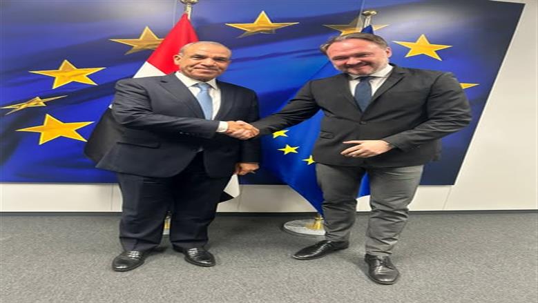 وزير الخارجية: مصر تسعى إلى جذب استثمارات أجنبية في الطاقة المتجددة من الشركاء الأوروبيين