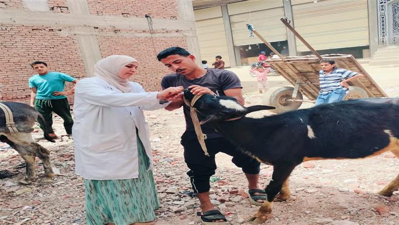 «بيطري الشرقية» تنظم قافلة توعوية في قرية ميت حمل ببلبيس