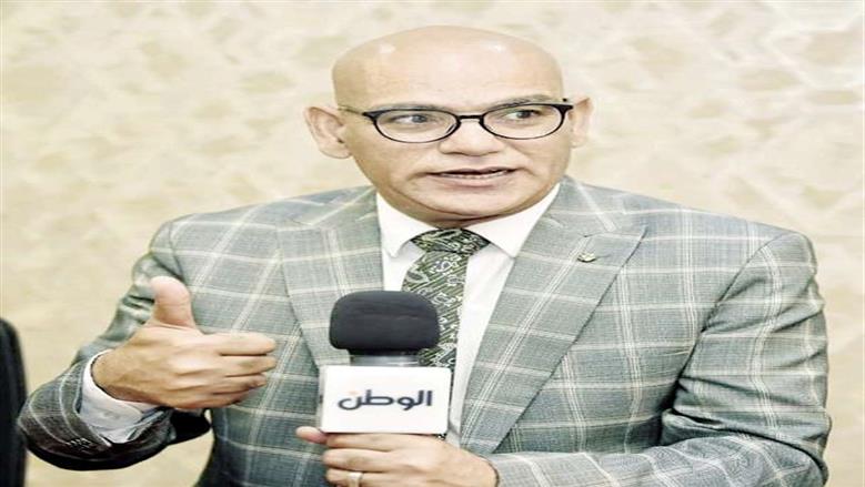 خبير نظم انتخابية: وعي المصريين بأهمية البرلمان تزايد خلال السنوات العشر الماضية