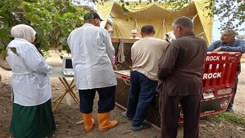 انطلاق قوافل بيطرية لرعاية أكثر من 15 ألف رأس حيوان وطائر مجانا في 10 محافظات