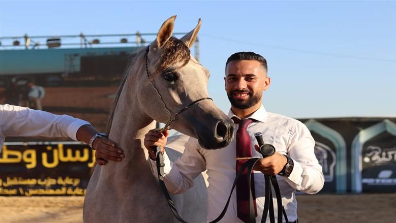 خيول