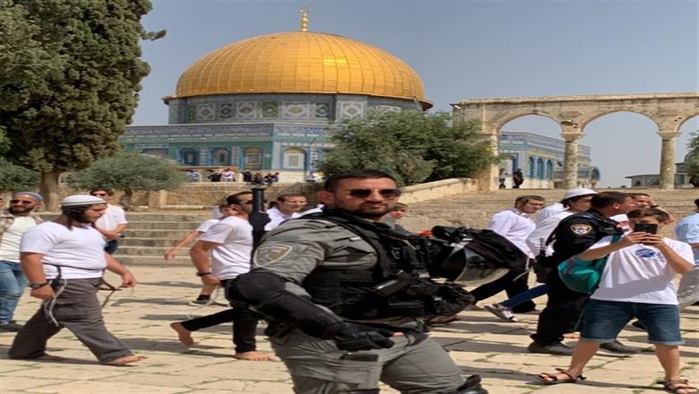 «متحدث القدس»:  100 ألف مستوطن اقتحموا المسجد الأقصى منذ «7 أكتوبر» 