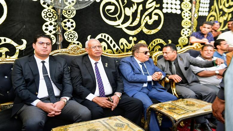 محافظ الدقهلية 