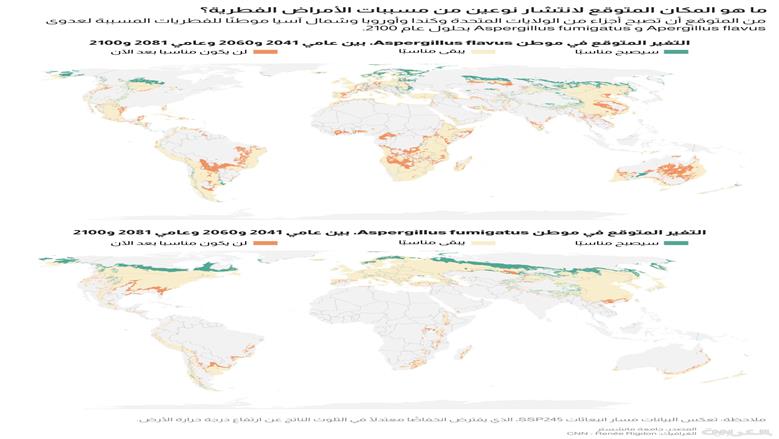 فطر يسبب العدوى