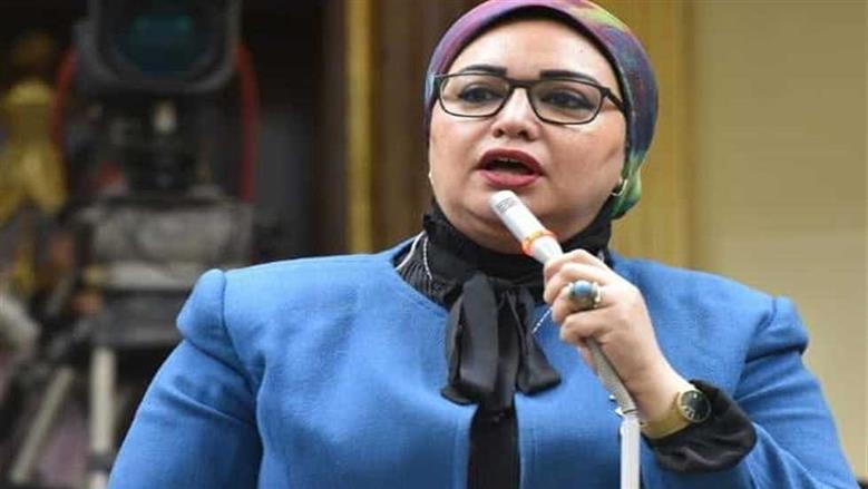 النائبة سولاف درويش لبسمة وهبة: زيادة الأجور تعكس اهتمام الدولة بالفئات الأقل دخلًا