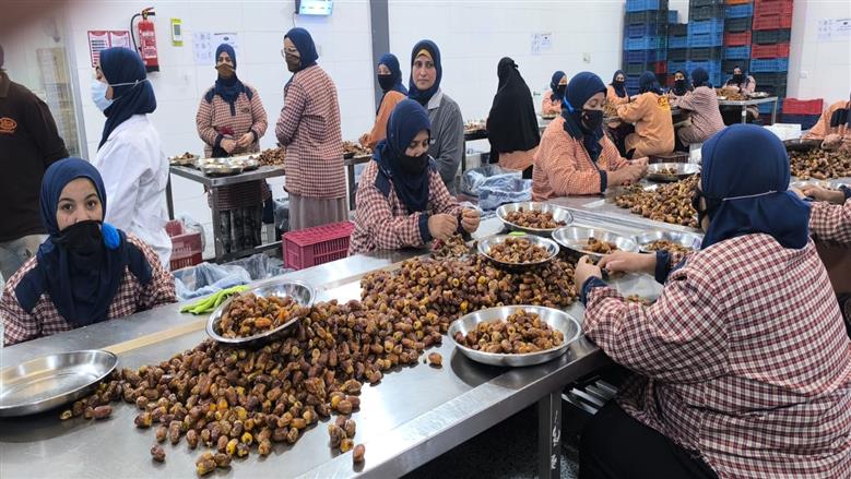 جولة شباب القليوبية
