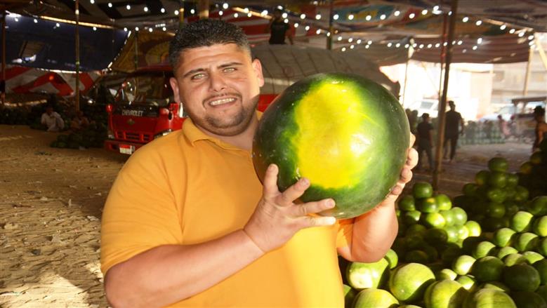 البطيخ