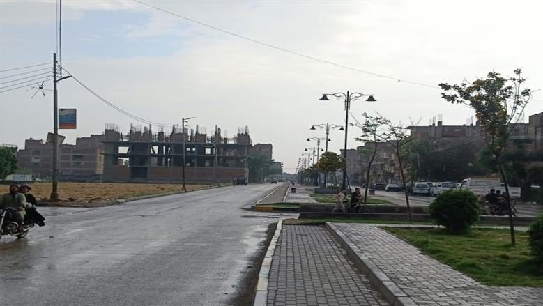 المنوفية