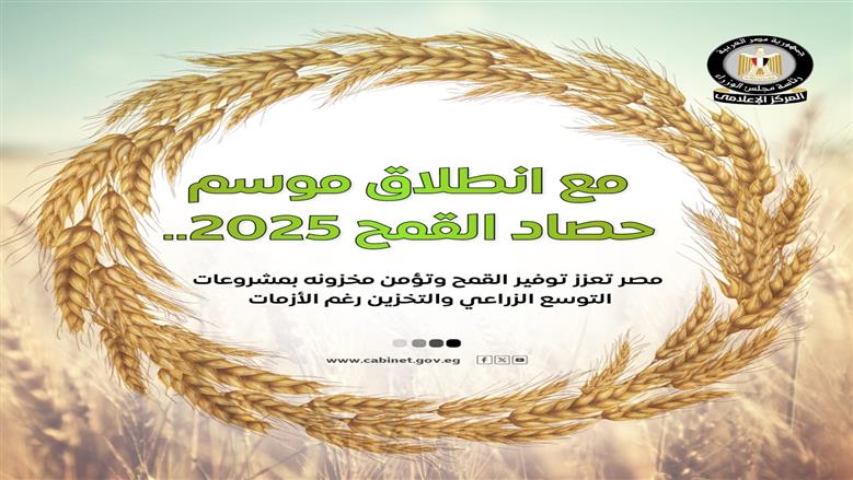 «الوزراء»: دعم غير مسبوق للمزارعين في موسم توريد القمح 2025