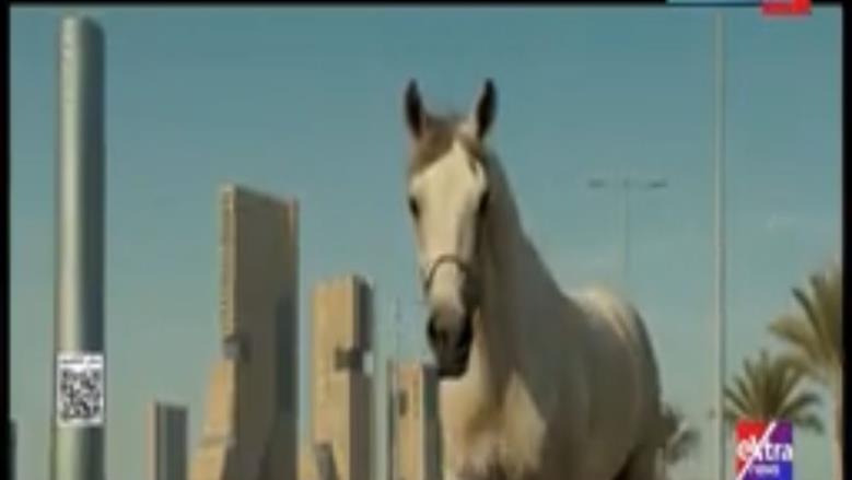 كل ما تريد معرفته عن الخيل «نظير».. تصدر المشهد في افتتاح بطولة العالم العسكرية