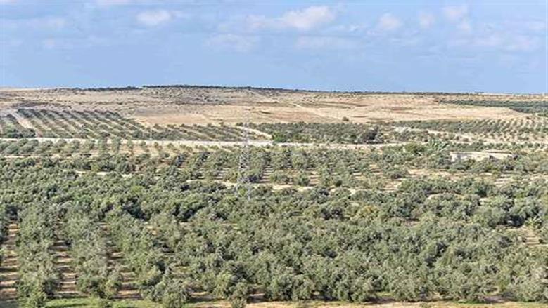 شيوخ وعواقل سيناء: التنمية فرصة ذهبية للأهالي وبيئة خصبة للاستثمار