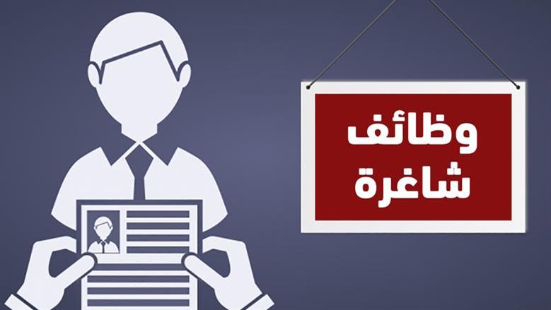 وظائف حكومية في «السياحة» و«مواني البحر الأحمر» و«الأزهر».. الشروط والأوراق المطلوبة