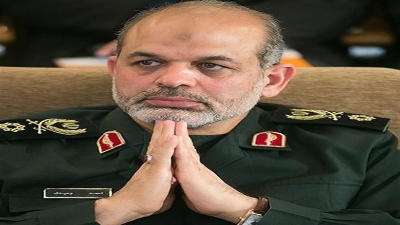 وحيدي