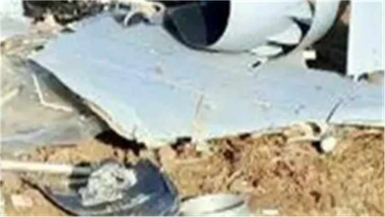 المسيرة