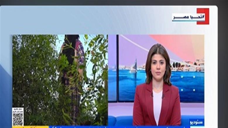 أستاذ نباتات طبية: مصر تزرع 70% من الإجمالي العالمي لمحصول الياسمين
