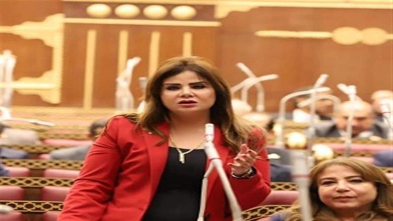 عضو بـ«دفاع الشيوخ»: وعي المصريين السلاح الأقوى أمام مؤامرات الإخوان
