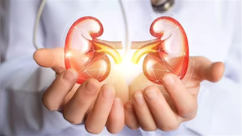 3 أطعمة تسبب الإصابة بأمراض الكلى.. بينها الزبدة والمايونيز