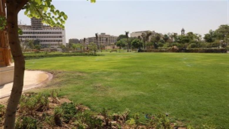 جولة