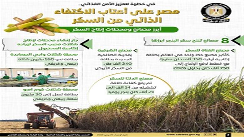 إنتاج السكر