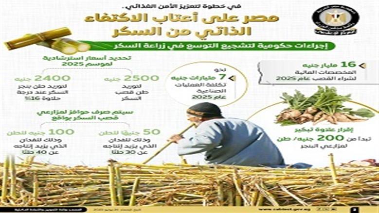 إنتاج السكر