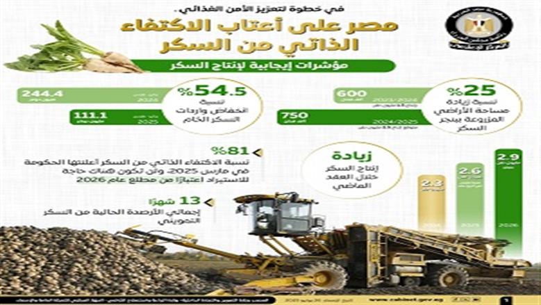 إنتاج السكر