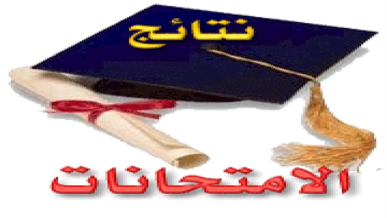 رابط وخطوات الاستعلام عن نتيجة الصف السادس الابتدائي 2025 بالمحافظات