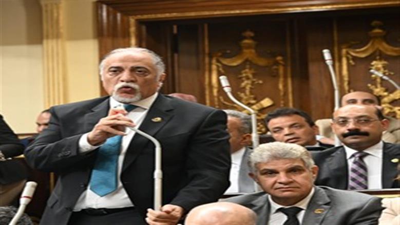 «برلمانية مستقبل وطن»: حريصون على تحقيق توازن بين حقي الملكية والسكن الملائم
