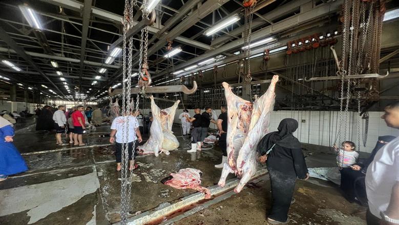 محافظ القاهرة : إقبال كبير من المواطنين على المجازر الحكومية لذبح الأضاحي
