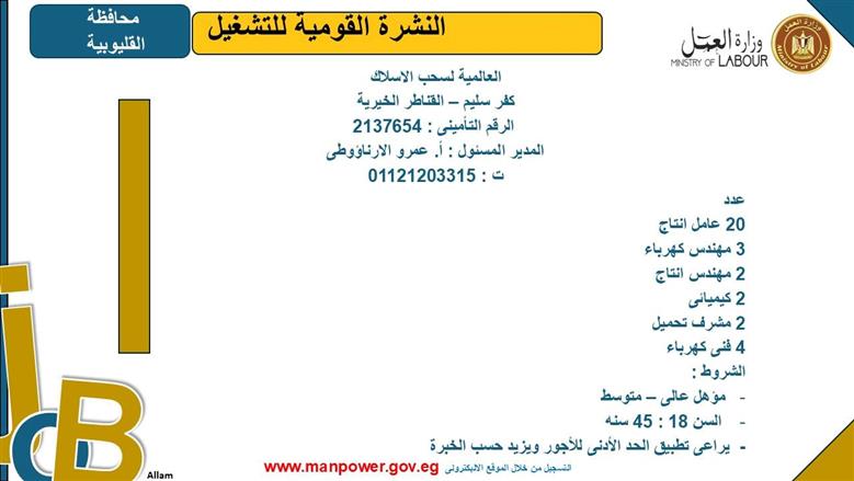 وظائف وزارة العمل