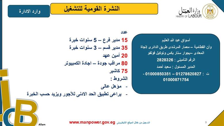 وظائف وزارة العمل