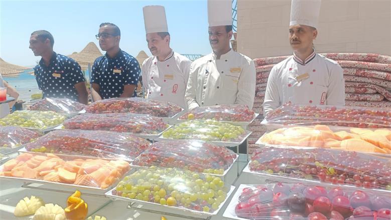 مهرجان العنب في الغردقة 