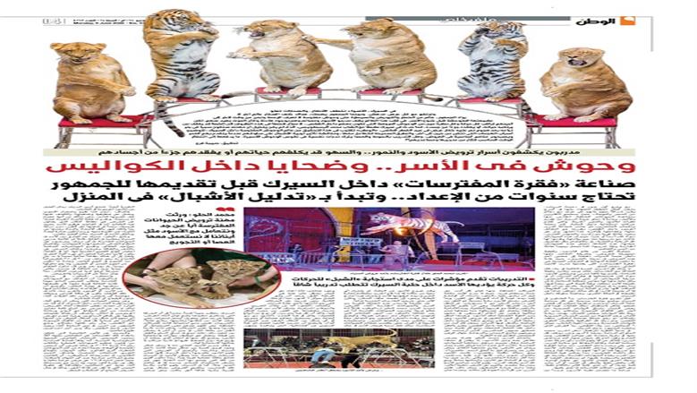 الوطن