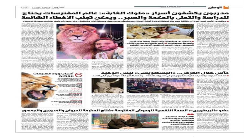 الوطن