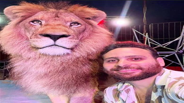 مدربون يكشفون أسرار «ملوك الغابة» بالسيرك: عالم المفترسات يحتاج للدراسة والتحلي بالحكمة والصبر