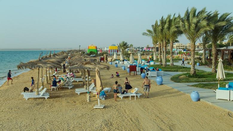 رأس سدر