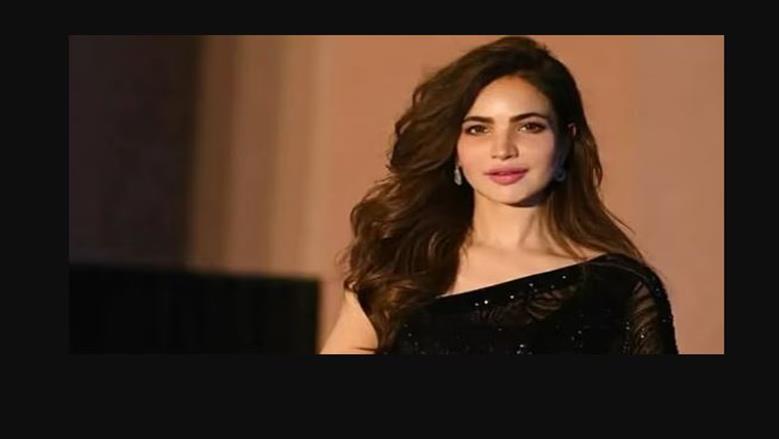 الفنانة الباكستانية 