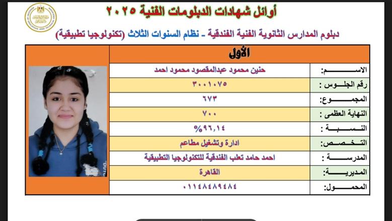 الدبلومات الفنية