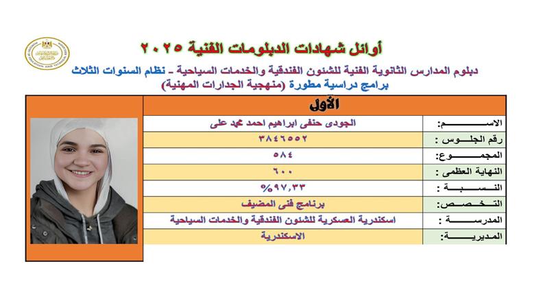 الدبلومات الفنية