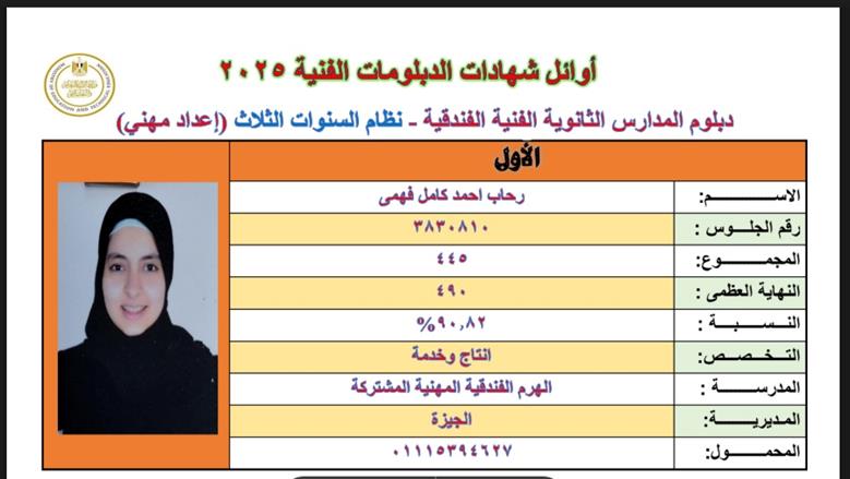 الدبلومات الفنية