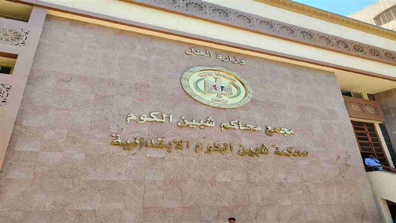 السجن المشدد 10 سنوات لأم قتلت نجلها الرضيع عمدا داخل «بانيو» بالمنوفية