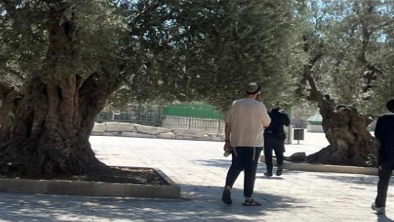 مستوطنون يقتحمون الأقصى ويلاحقون الفلسطينيين جنوب نابلس