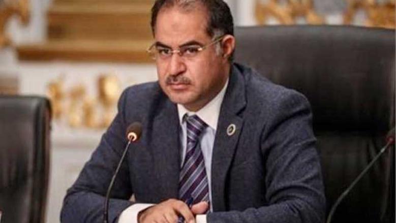 سليمان وهدان: مجلس الشيوخ نموذج عالمي معمول به في أكثر من نصف دول العالم