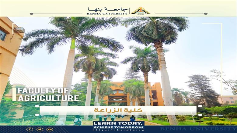 تنسيق كلية الزراعة جامعة بنها 2025