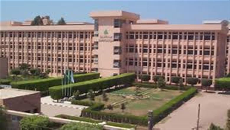 مؤشرات تنسيق كلية الهندسة الإلكترونية جامعة المنوفية 2025