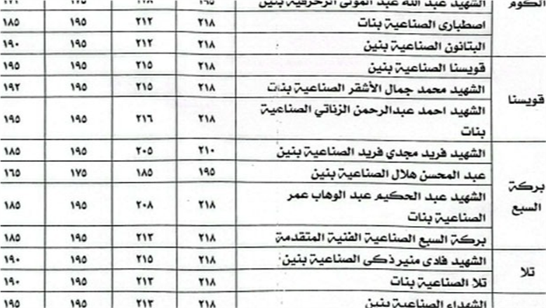 محافظ المنوفية