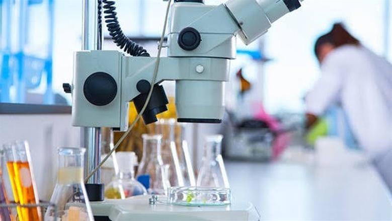 تنسيق كلية العلوم جامعة طنطا 2025.. توقعات المرحلة الثانية